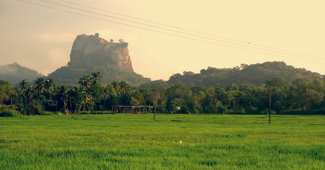 View of Sigirya Rock from across rice fields in Sri Lanka.