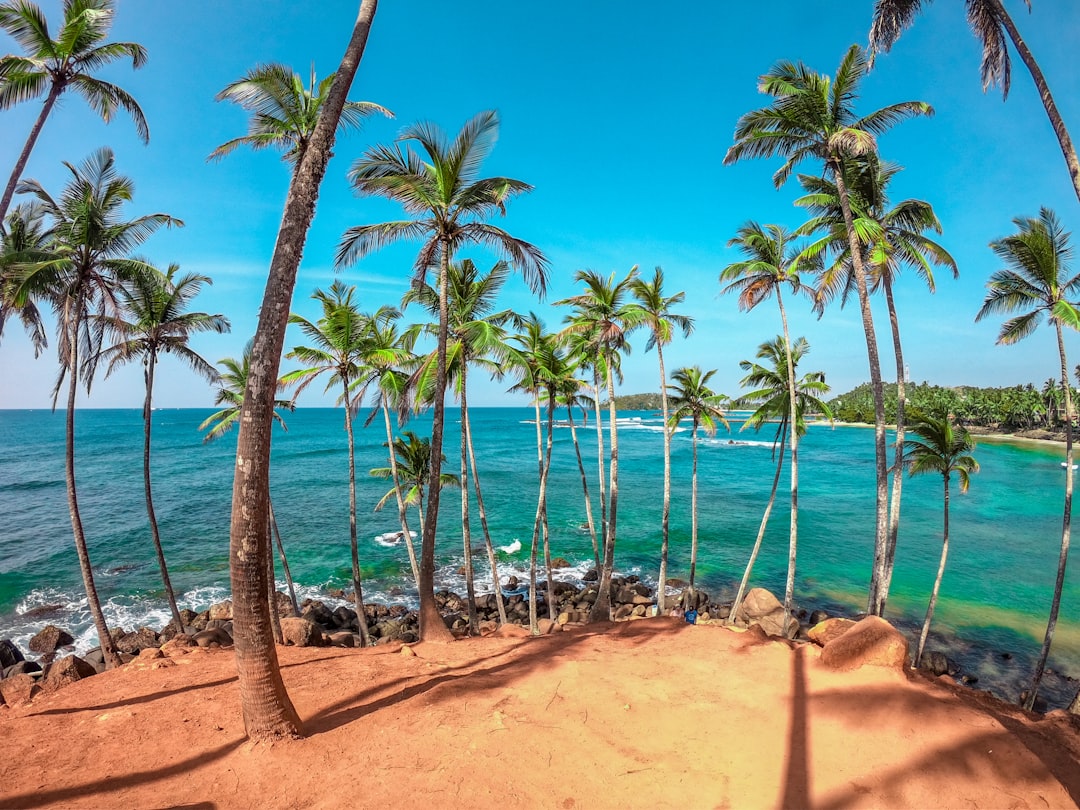 View from the top of Coconut Tree Hill in Mirissa